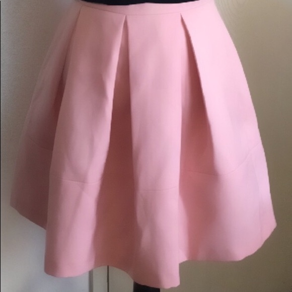 HallHuber Blushing Pink Skirt - Picture 7 of 7